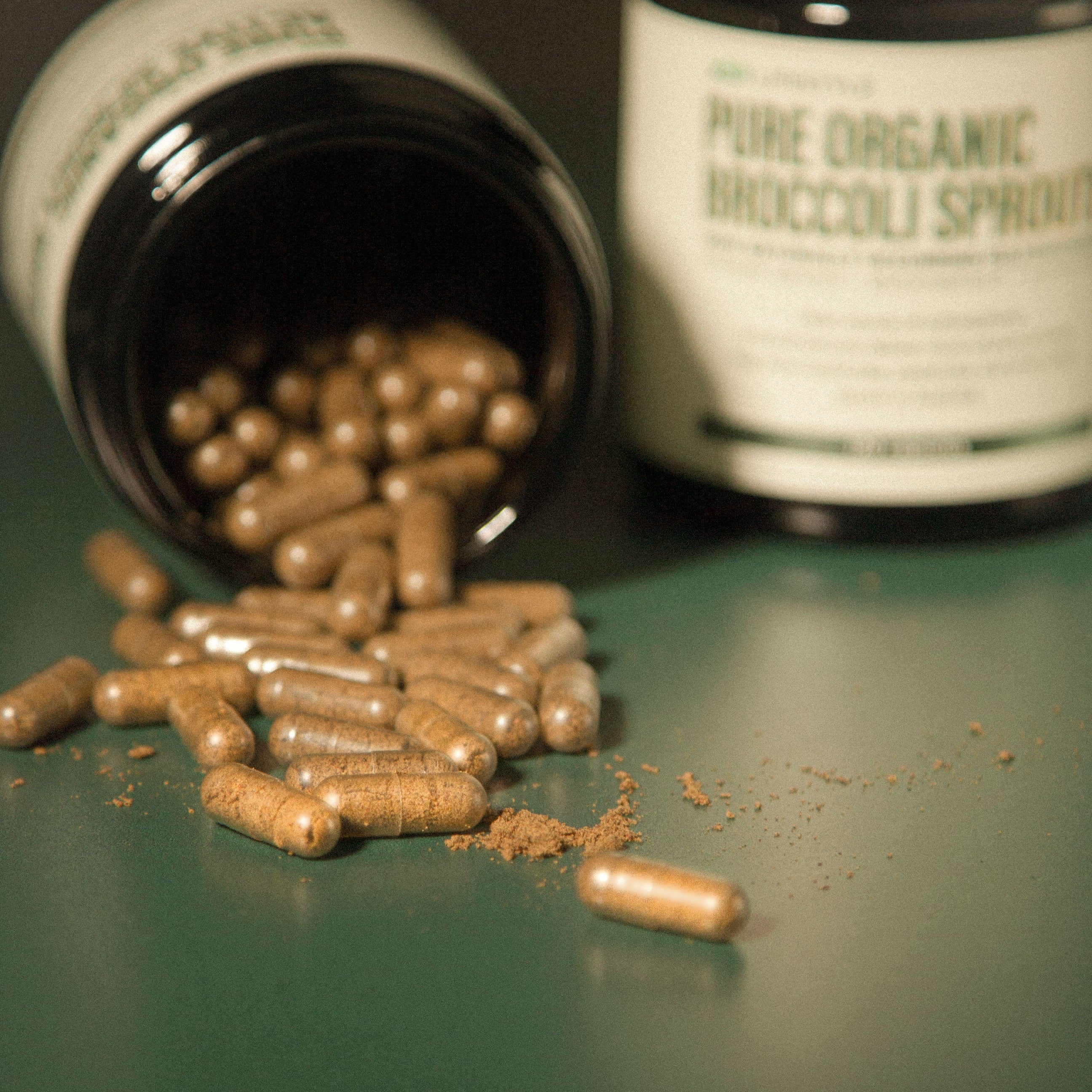 Pure Organic Broccoli Sprouts