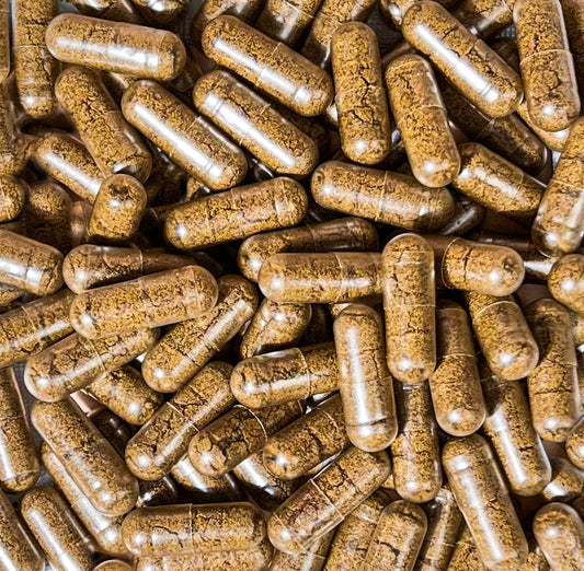 X50 Pure Organic Active Sprout Mix